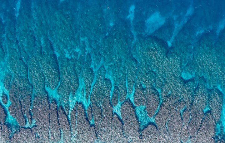 上空から撮ったサンゴ礁の海